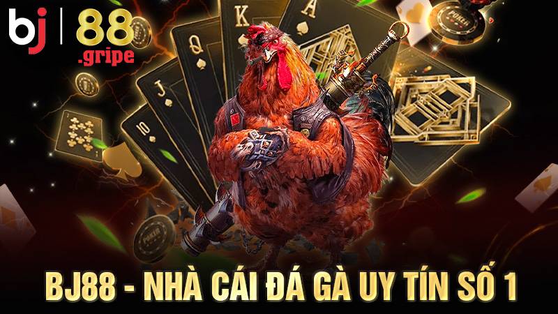 Khám Phá BJ88.com – Sân Chơi Cá Cược Hàng Đầu